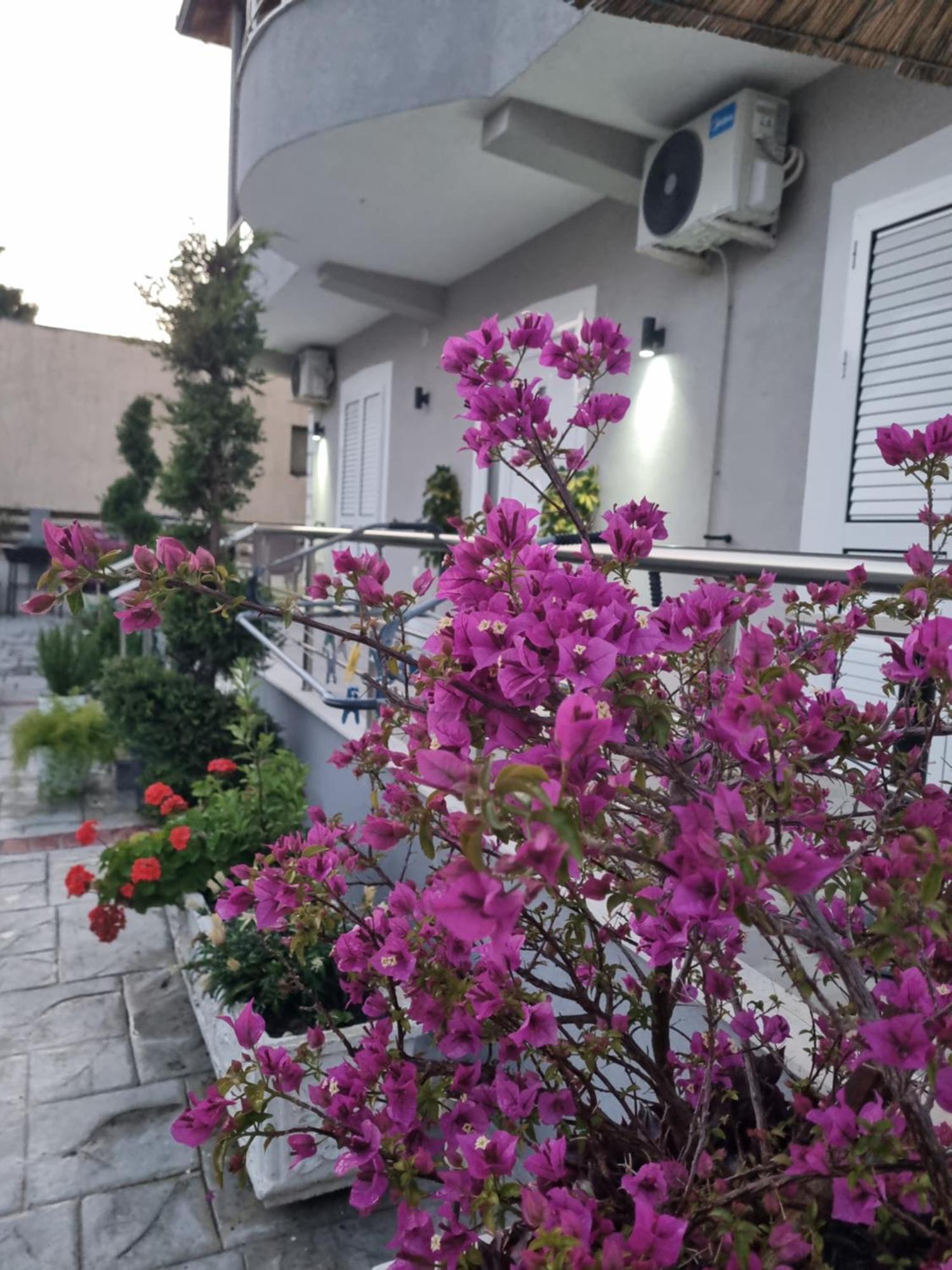 Vila Soleil Vlore Exterior photo